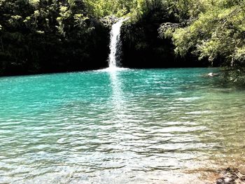 Scenic view of waterfall against trees