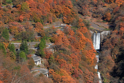 High angle view of trees during autumn