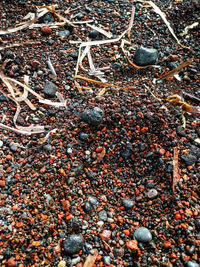 High angle view of stones on field