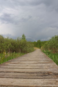 Surface level of boardwalk amidst trees against sky