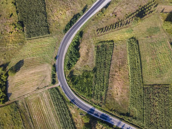 High angle view of cars on road