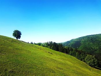 Scenic view of landscape against clear blue sky