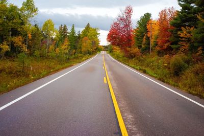 Empty country road along trees