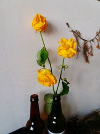 Close-up of yellow flowers in vase on table