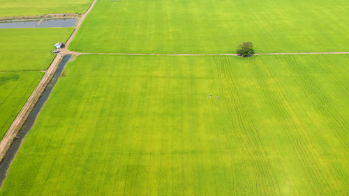 High angle view of soccer field