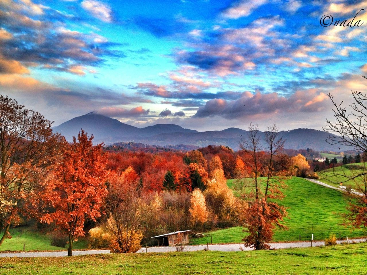 sky, tree, landscape, mountain, cloud - sky, tranquil scene, scenics, tranquility, beauty in nature, grass, cloudy, cloud, nature, autumn, mountain range, field, idyllic, non-urban scene, growth, countryside