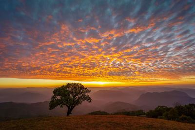 Scenic view of field against orange sky