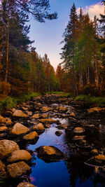 Stream flowing through rocks in forest