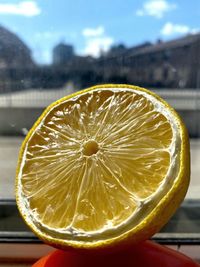 Close-up of lemon slice