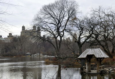 View of bare trees in winter