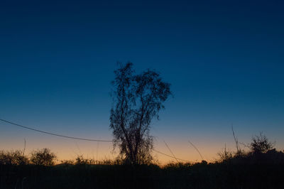 Low angle view of silhouette trees on field against clear sky