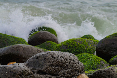 Close-up of rocks in sea