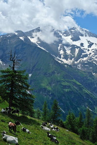 Scenic view of snowcapped mountains against sky