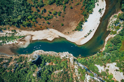 High angle view of trees by lake