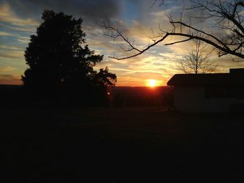 Silhouette of trees at sunset