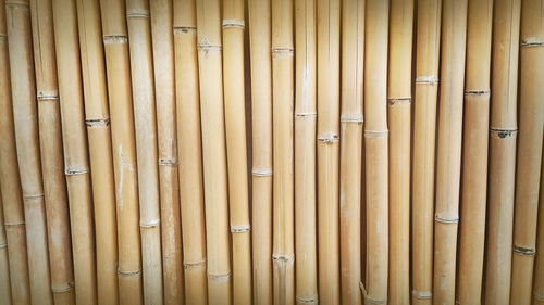 Detail shot of bamboo wall