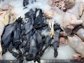 High angle view of fish for sale in market