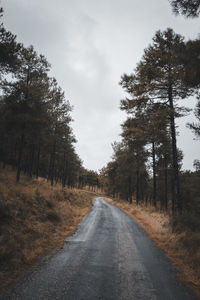 Empty road amidst trees against sky