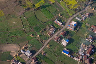 Directly above shot of houses on farm