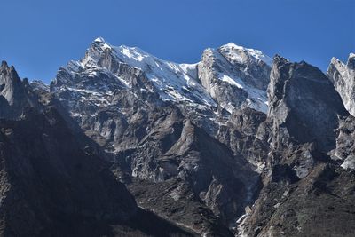 Himalayan beauty