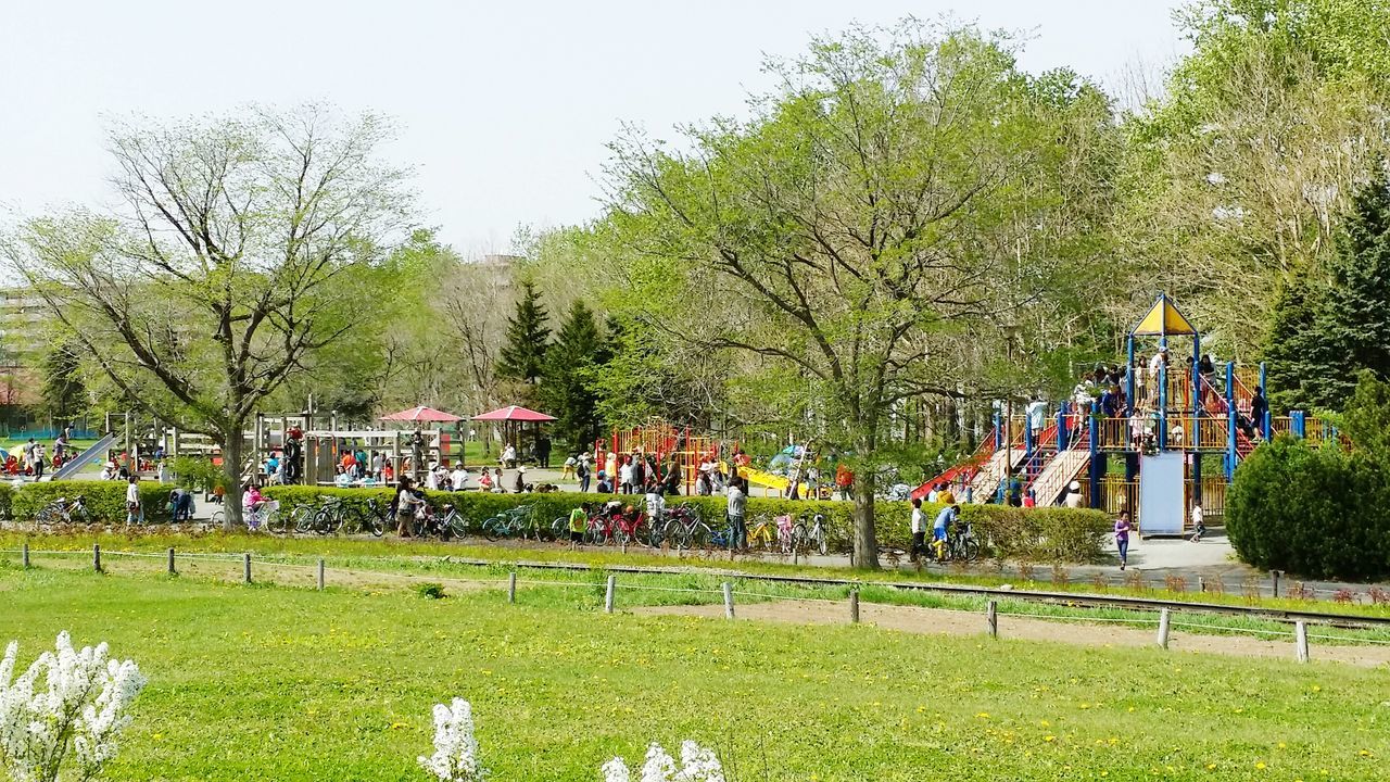 grass, tree, green color, large group of people, field, growth, men, person, built structure, architecture, clear sky, building exterior, landscape, lifestyles, grassy, nature, leisure activity, park - man made space, fence