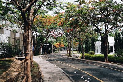 Street amidst trees and plants in city