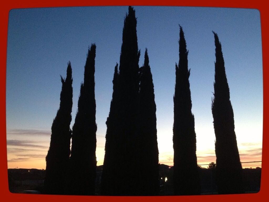 transfer print, silhouette, auto post production filter, sky, low angle view, sunset, nature, outdoors, no people, sunlight, panoramic, clear sky, tranquility, beauty in nature, outline, dusk, day, tranquil scene, dark, growth