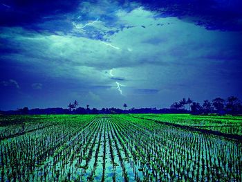 Scenic view of field against cloudy sky