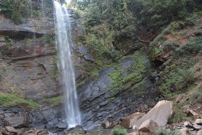 View of waterfall in forest