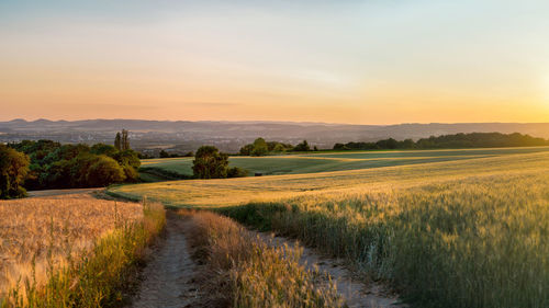 Scenic view of field against sky during sunset