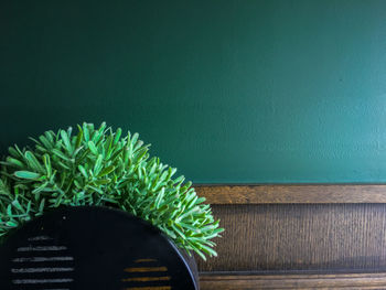 Close-up of potted plant on table against wall