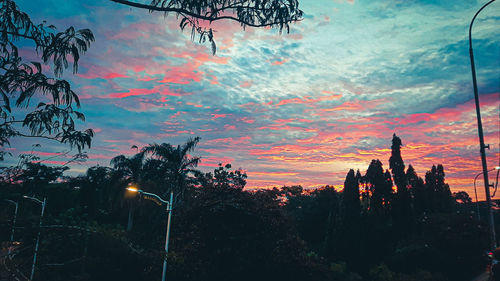 Low angle view of silhouette trees against sky at sunset