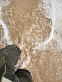 Low section of man on beach