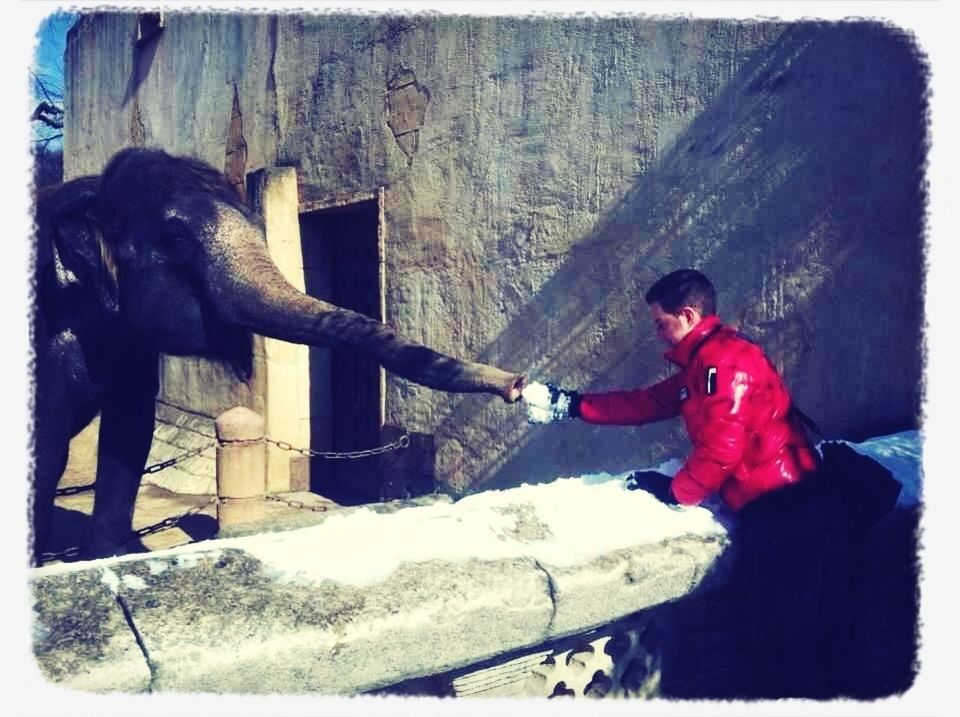 Dschungelpalast im Zoo Hannover