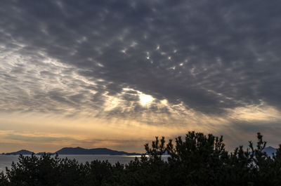 Low angle view of silhouette trees against sky during sunset