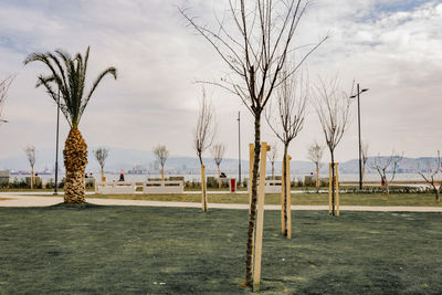 Bare trees on field against sky