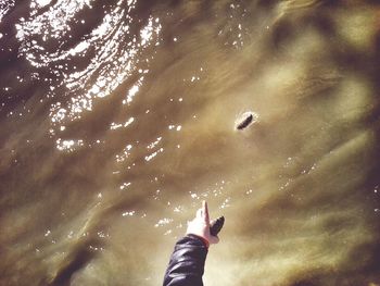 Low section of person standing in water