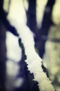 focus on foreground