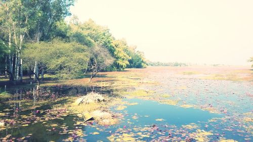 Scenic view of lake against clear sky