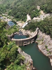 High angle view of river amidst trees