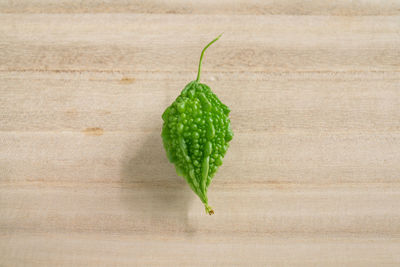 Directly above shot of leaf on table