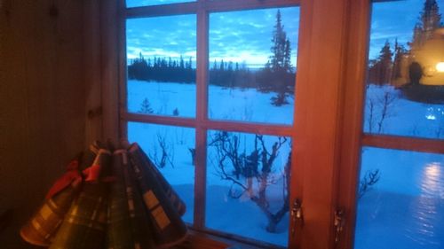 View of trees through window