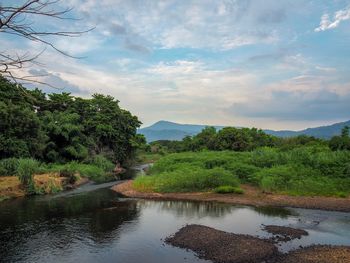 Scenic view of river by trees against sky