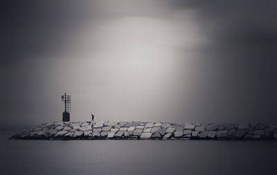 Birds flying over sea against sky