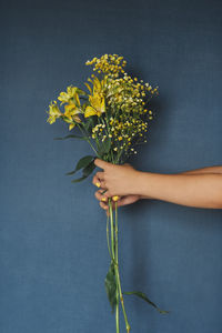 Close-up of hand holding plant against white background