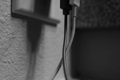 Close-up of plant against blurred background