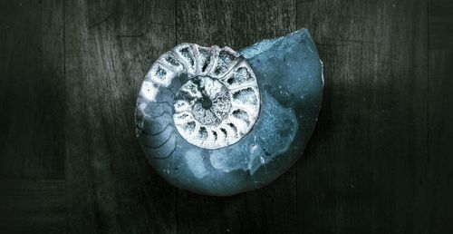 Close-up of old wooden wall