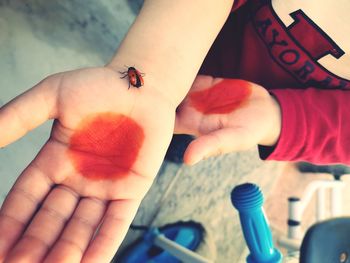 Close-up of woman holding insect on hand