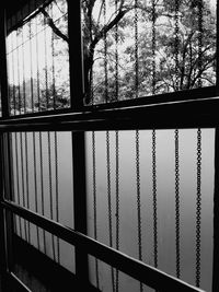 Silhouette trees seen through window of building