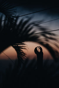 Low angle view of silhouette plant against sky during sunset